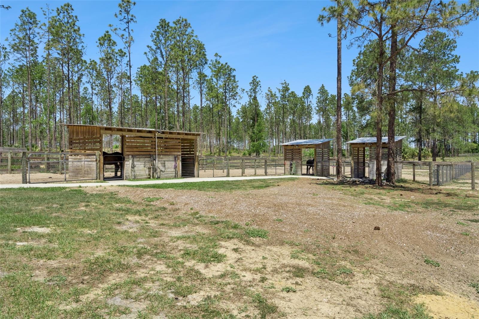 20701 COUNTY ROAD 44A, EUSTIS, FL — photo 53