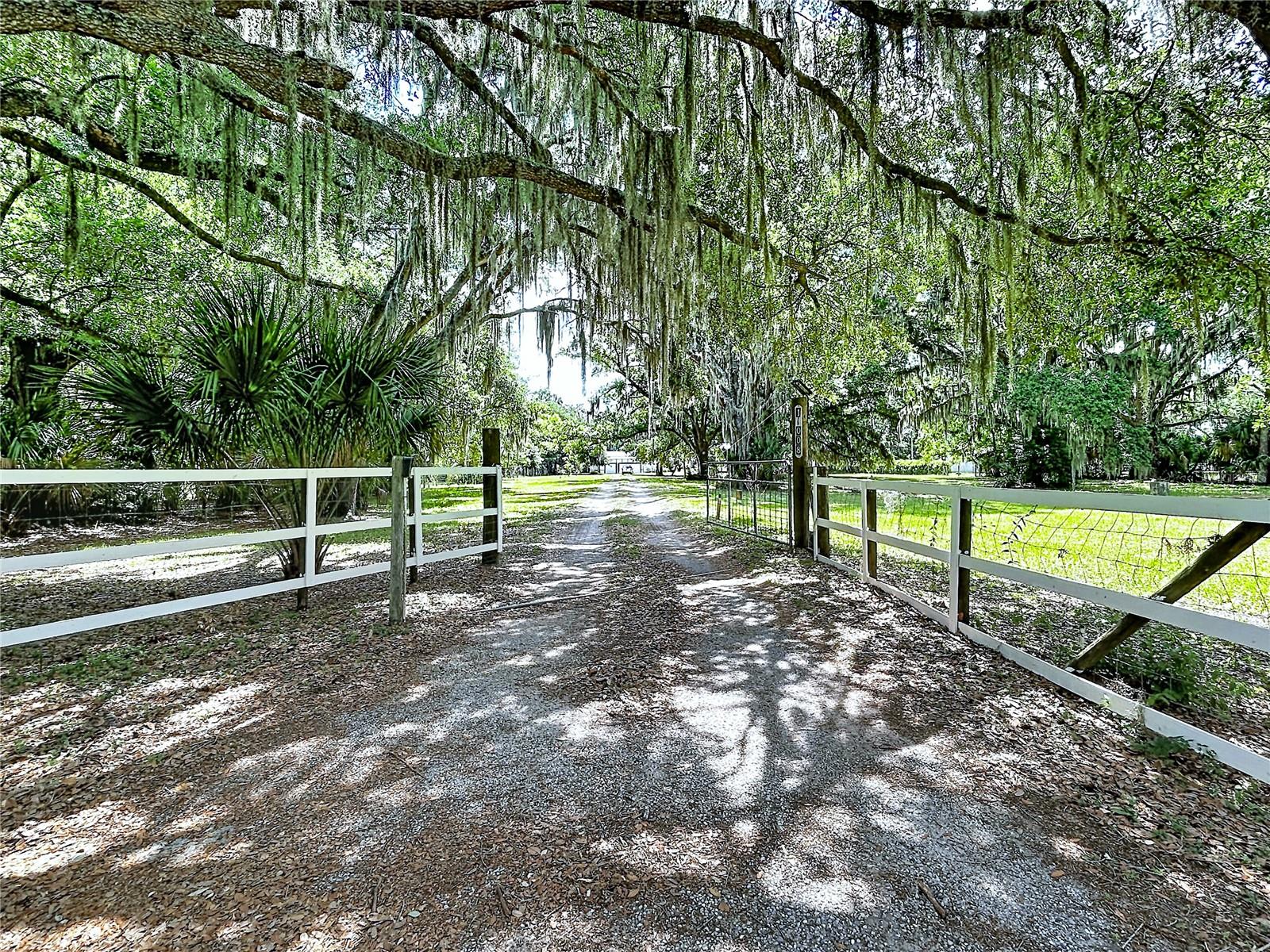 11008 BROWNING RD, LITHIA, FL — photo 8