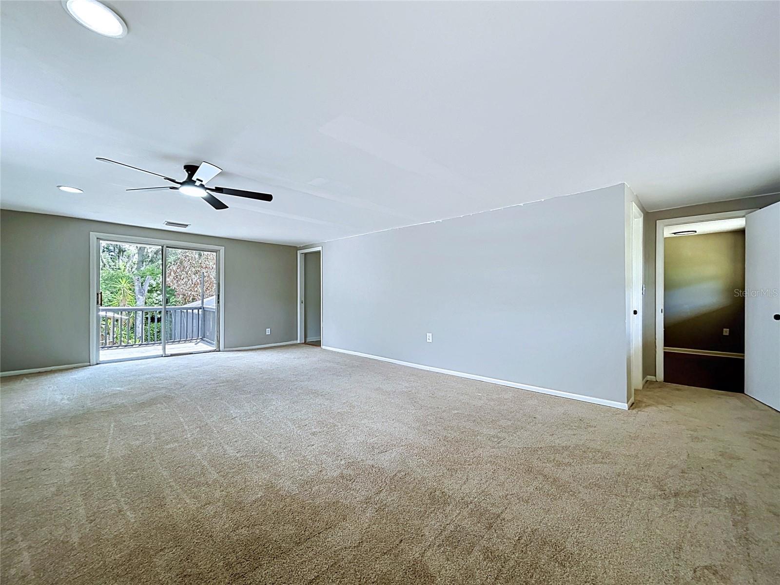 11008 BROWNING RD, LITHIA, FL — photo 47