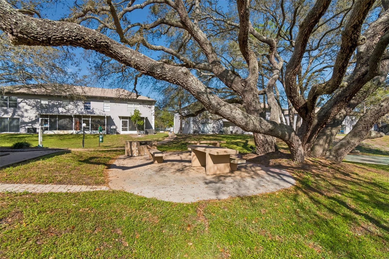 5156 SUNRIDGE PALMS DR, TAMPA, FL — photo 46