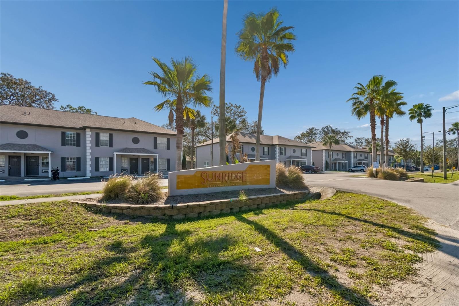 5156 SUNRIDGE PALMS DR, TAMPA, FL — photo 47