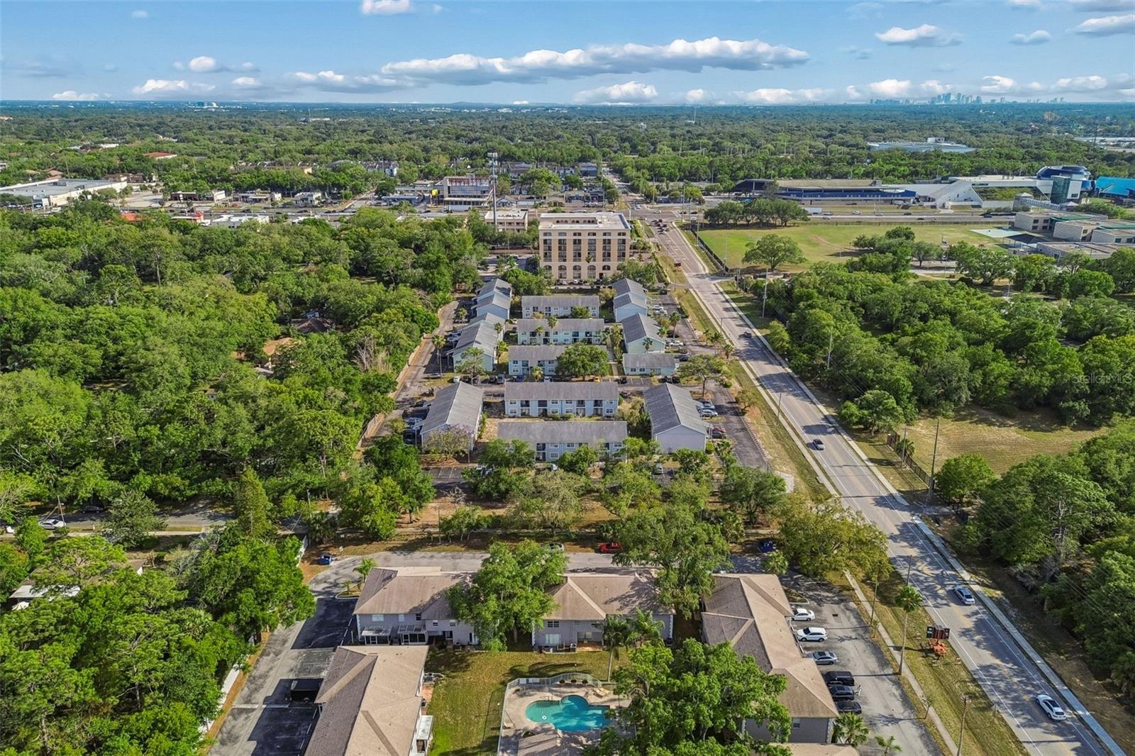 5156 SUNRIDGE PALMS DR, TAMPA, FL — photo 51