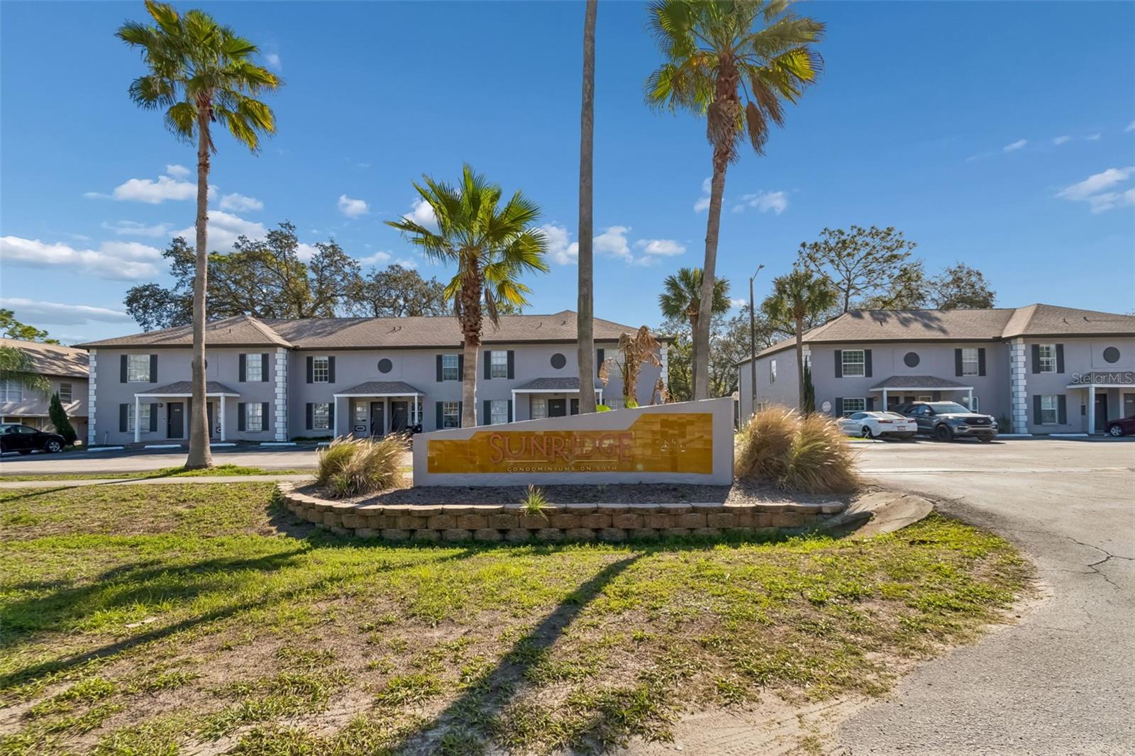 5156 SUNRIDGE PALMS DR, TAMPA, FL — photo 53