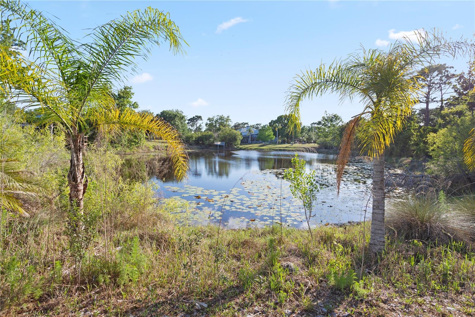 1140 GALLANT FOX WAY, CHULUOTA, FL — photo 40