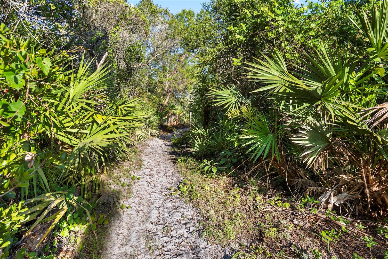 1140 GALLANT FOX WAY, CHULUOTA, FL — photo 41