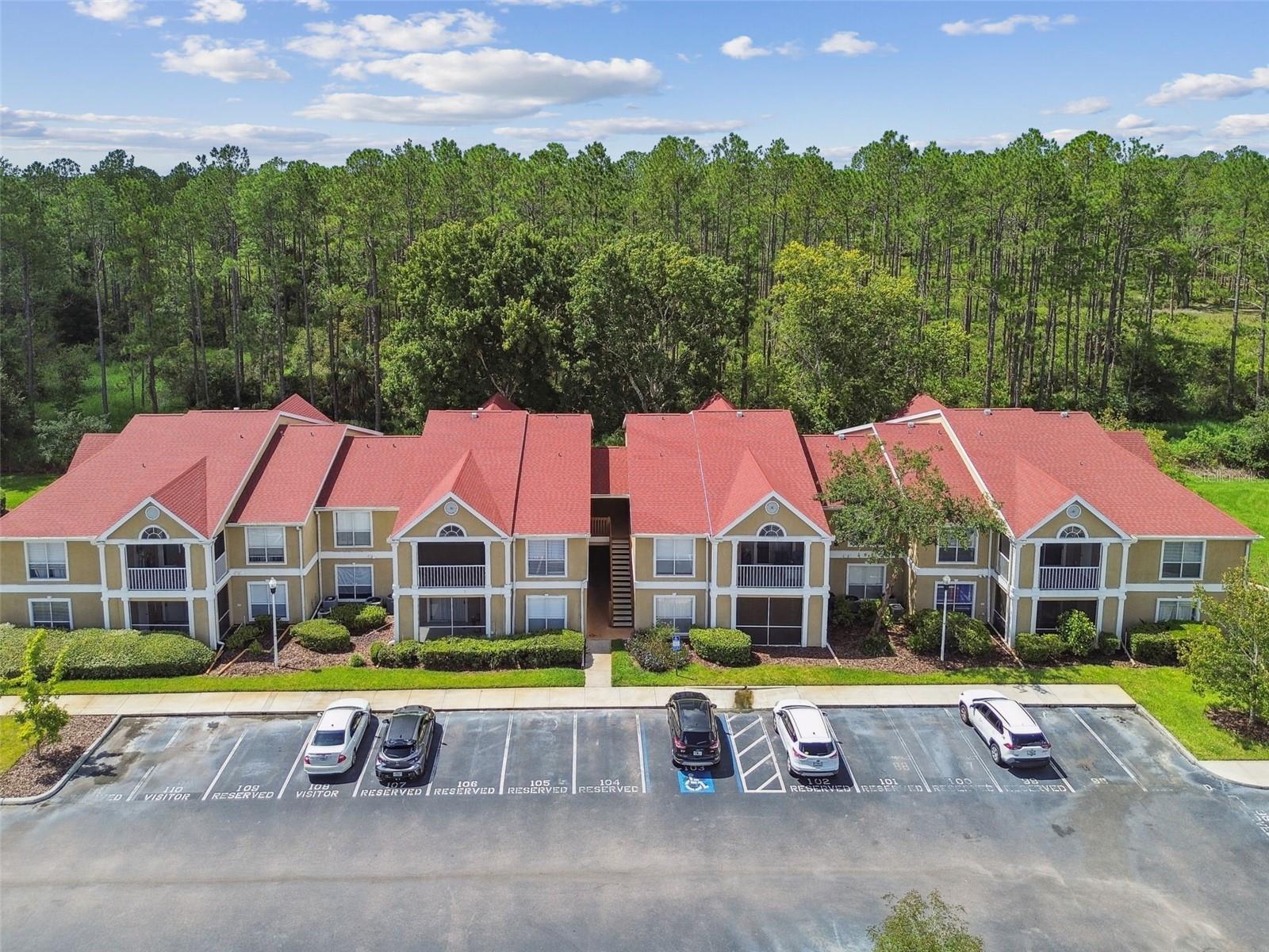 9481 HIGHLAND OAK DR #1615, TAMPA, FL — photo 55