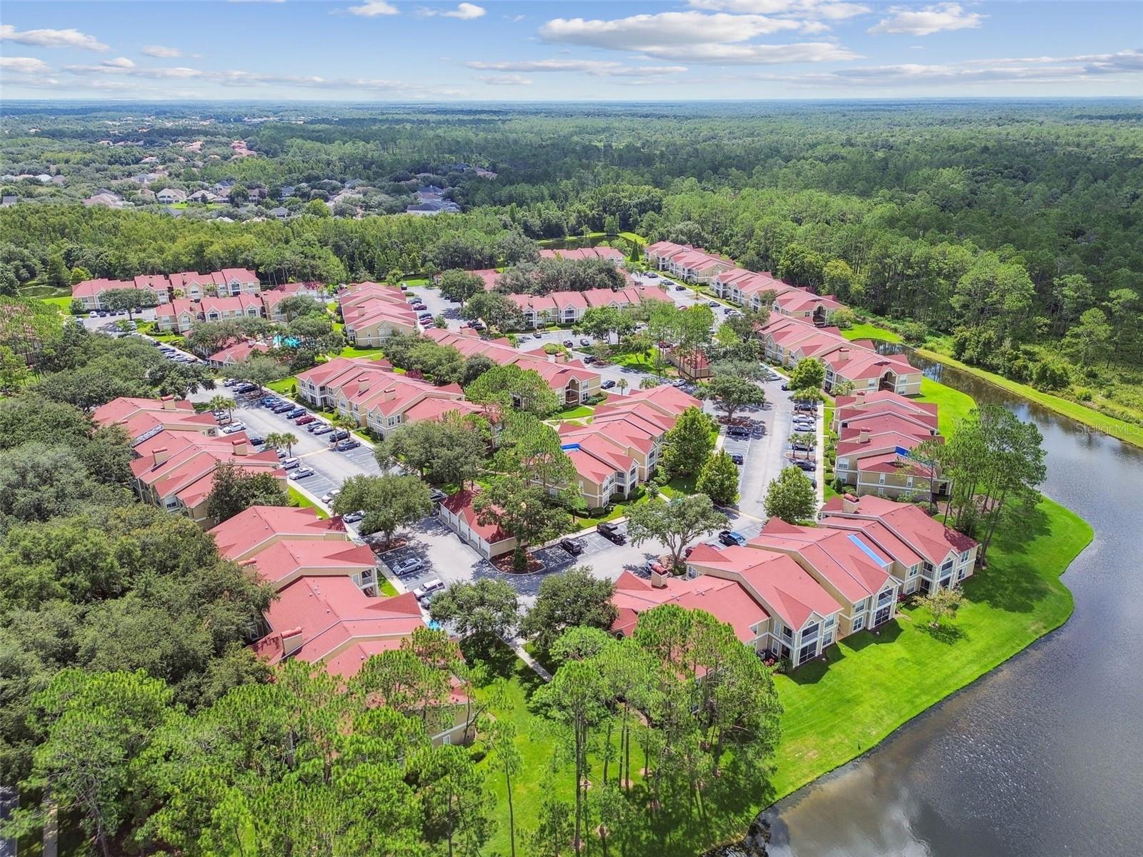 9481 HIGHLAND OAK DR #1615, TAMPA, FL — photo 59