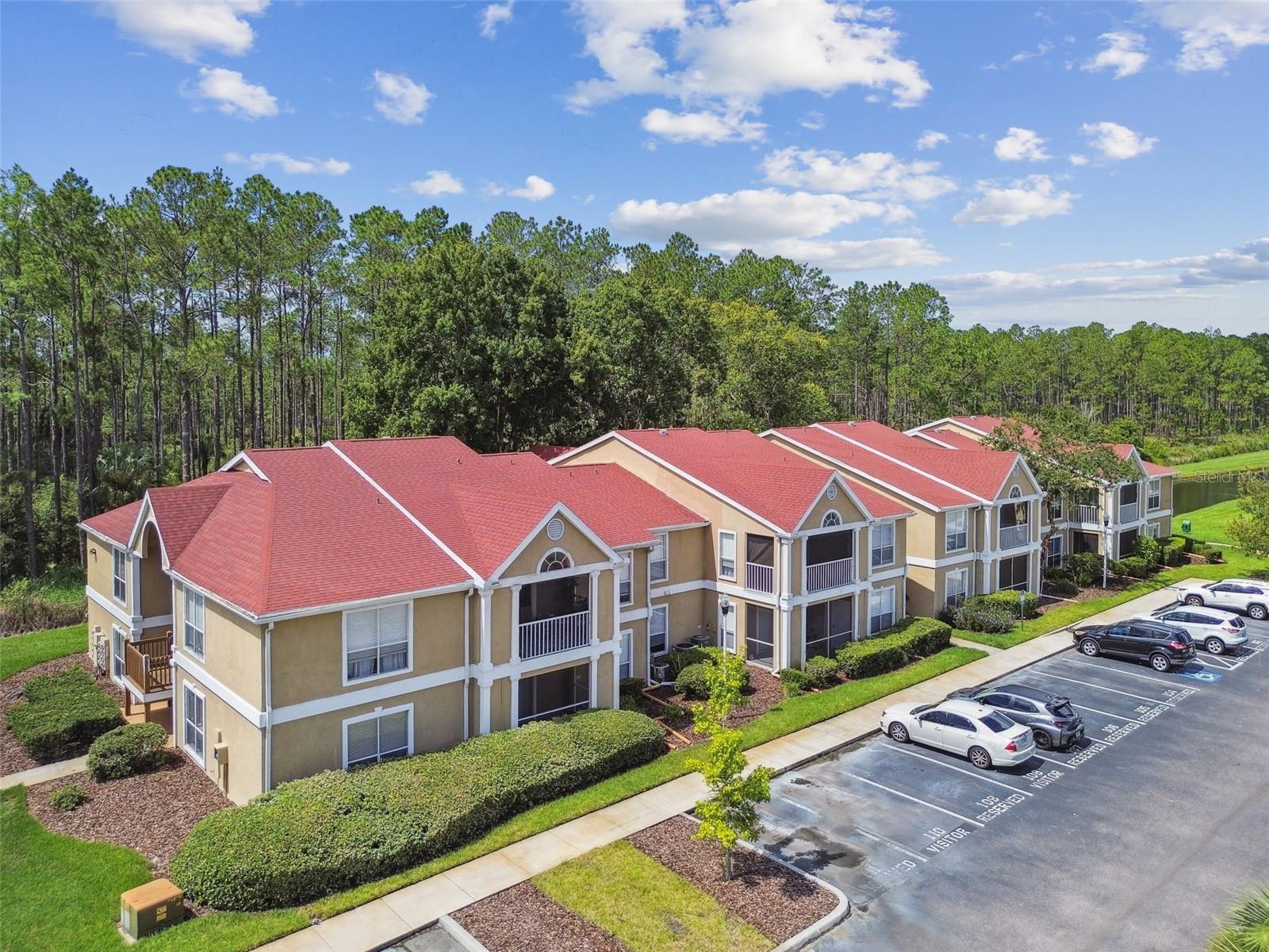 9481 HIGHLAND OAK DR #1615, TAMPA, FL — photo 61