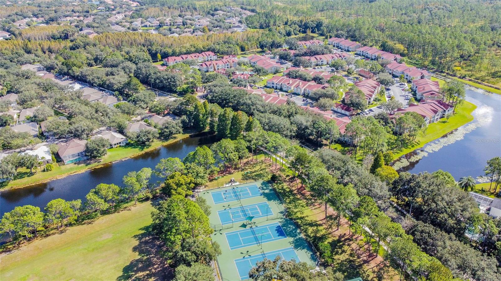 9481 HIGHLAND OAK DR #1615, TAMPA, FL — photo 66