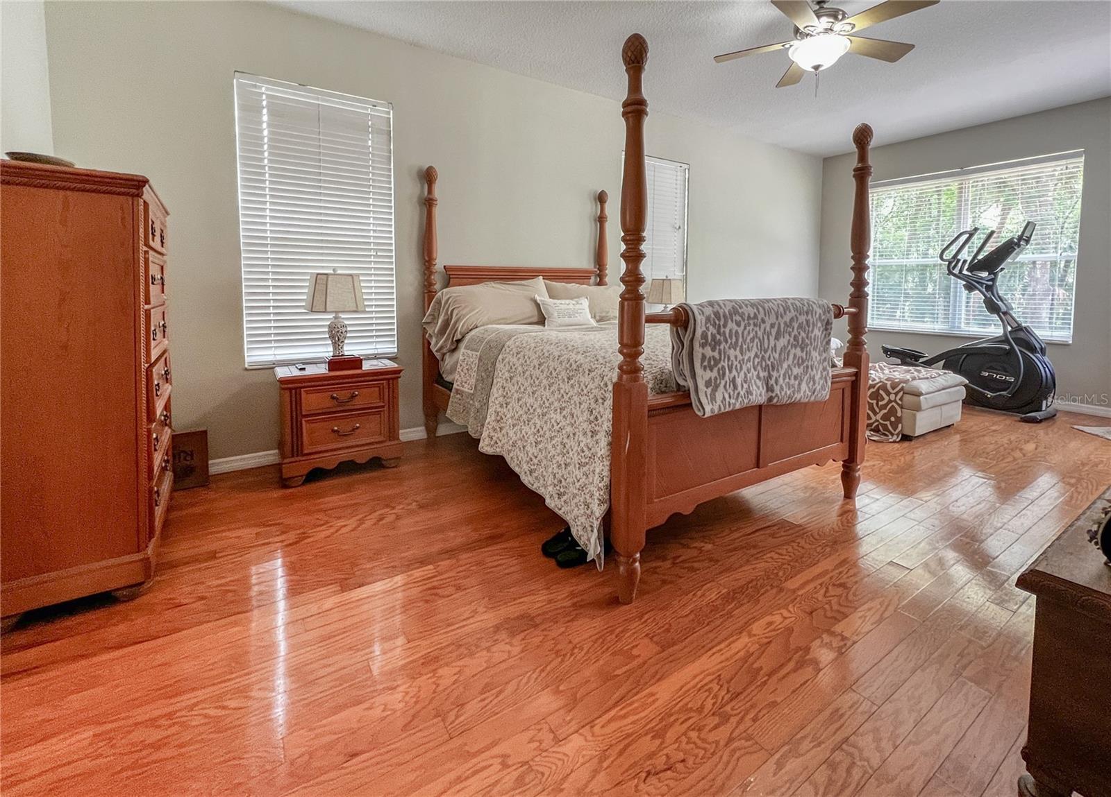 9046 SHENANDOAH RUN, WESLEY CHAPEL, FL — photo 20