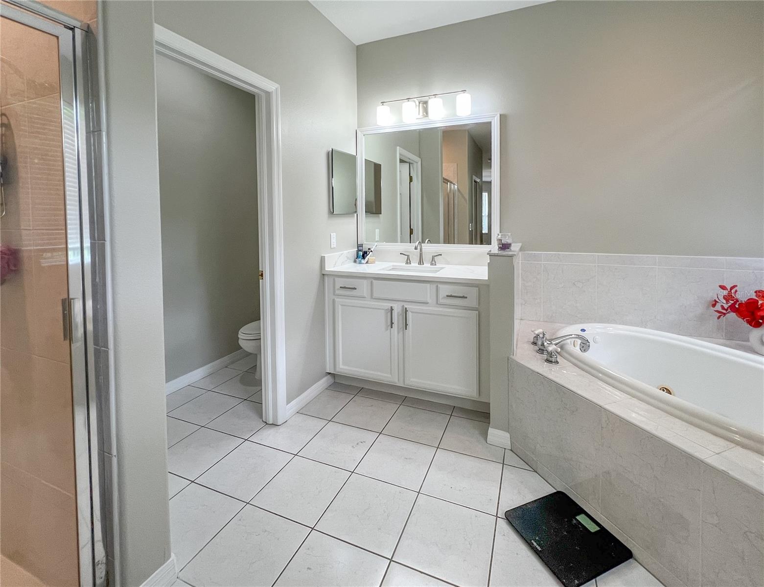 9046 SHENANDOAH RUN, WESLEY CHAPEL, FL — photo 28
