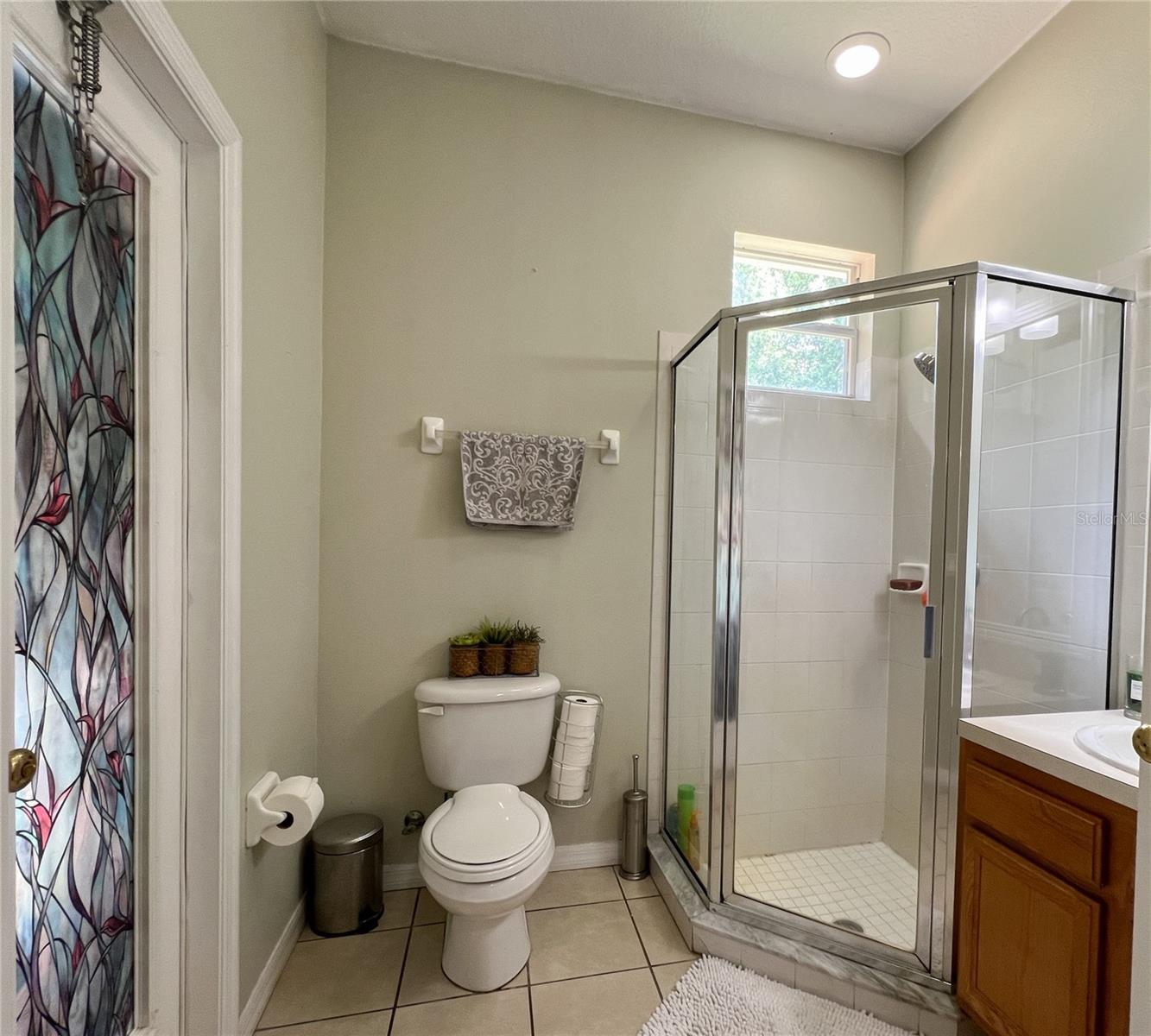 9046 SHENANDOAH RUN, WESLEY CHAPEL, FL — photo 29