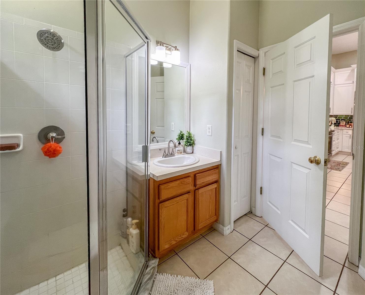 9046 SHENANDOAH RUN, WESLEY CHAPEL, FL — photo 30