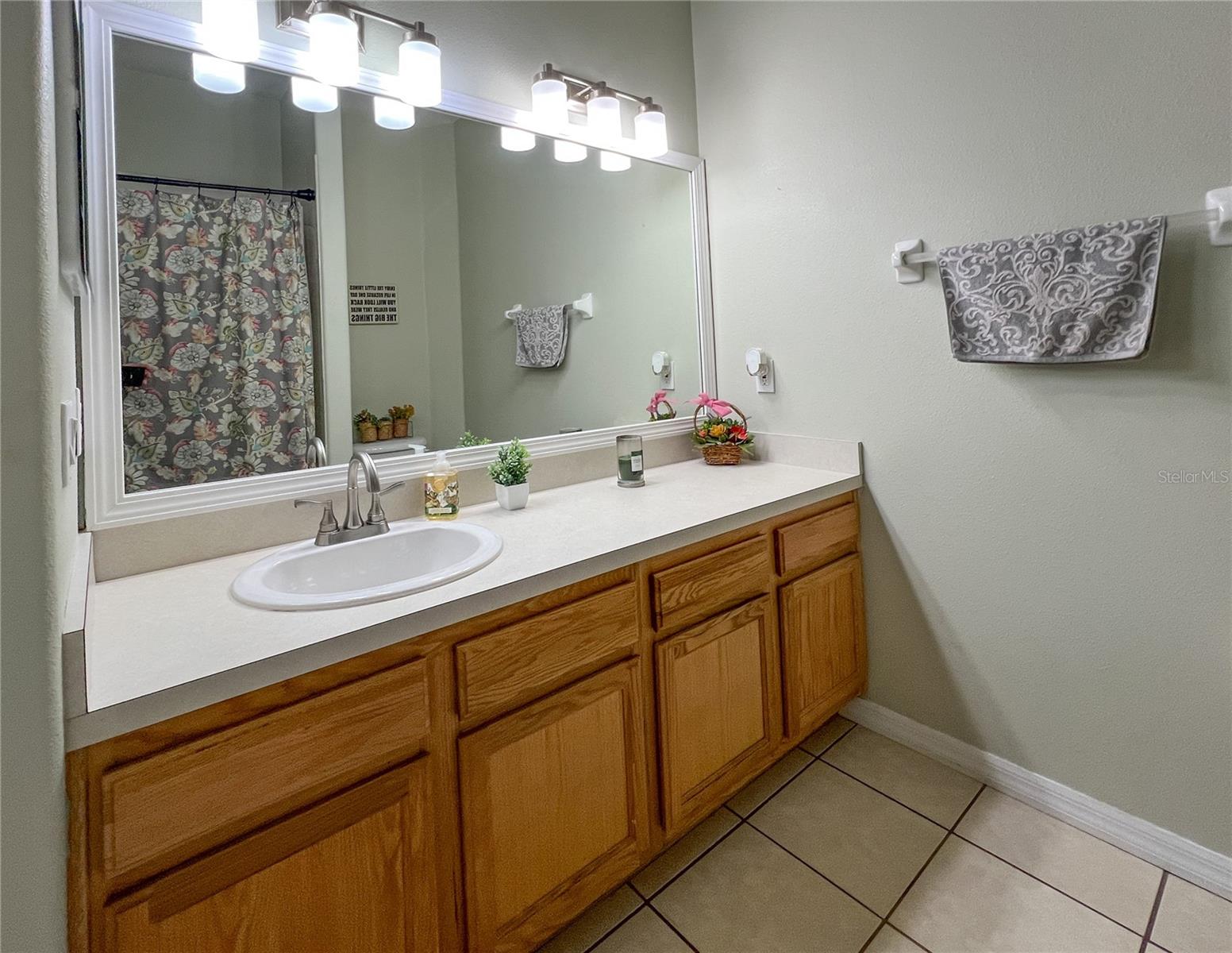 9046 SHENANDOAH RUN, WESLEY CHAPEL, FL — photo 38