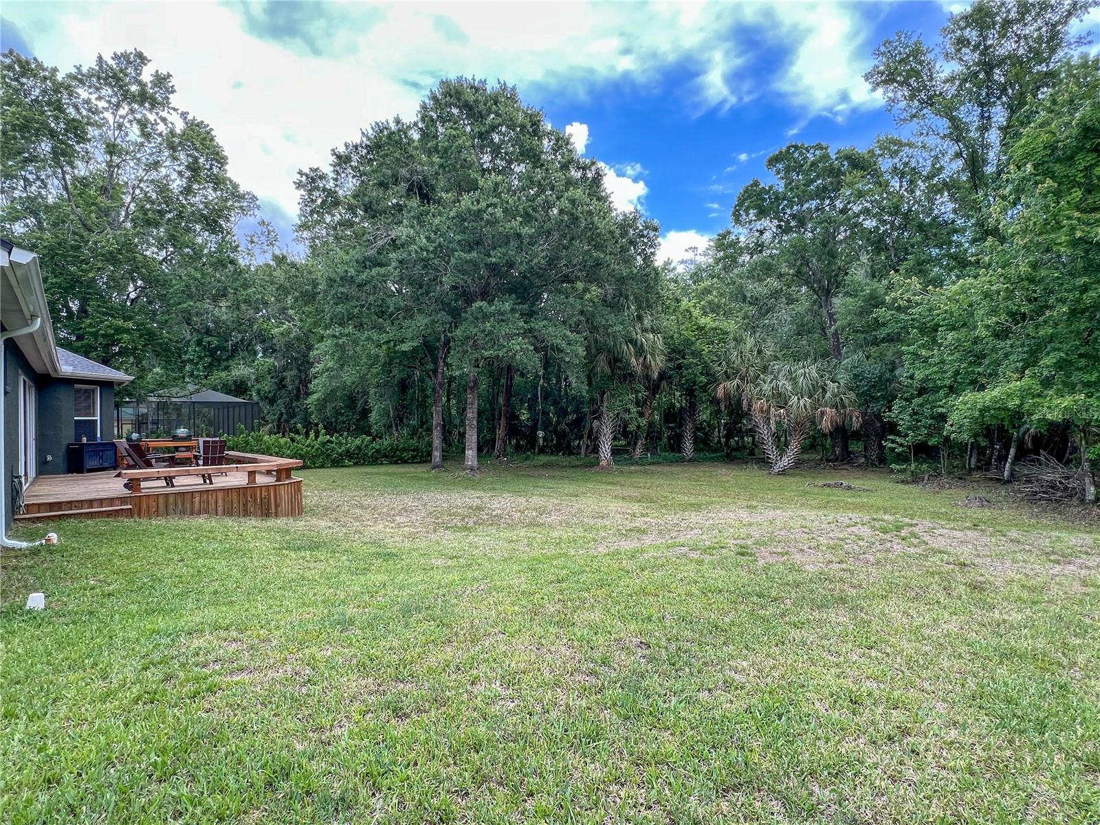 9046 SHENANDOAH RUN, WESLEY CHAPEL, FL — photo 57