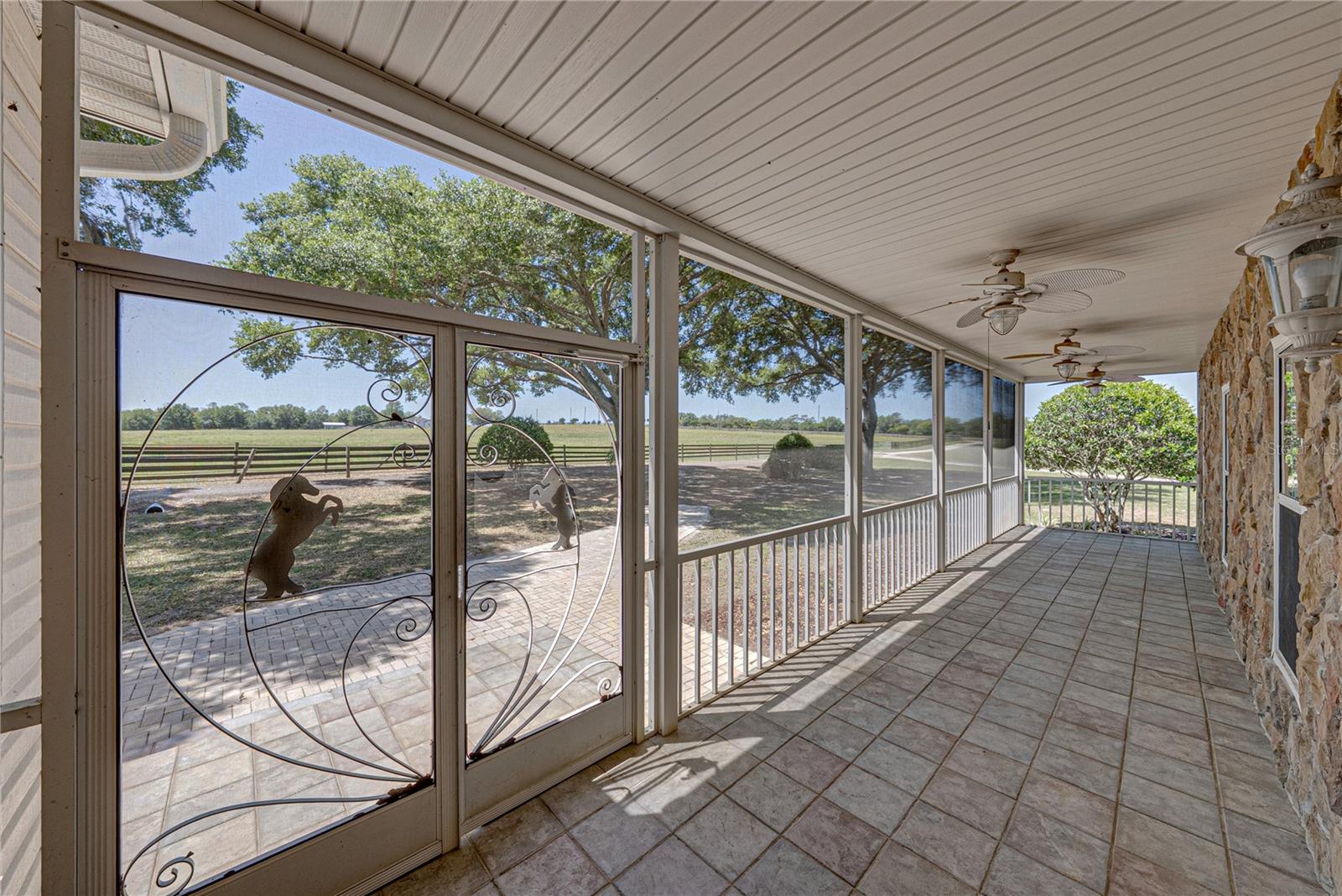 29001 BAYHEAD RD, DADE CITY, FL — photo 10