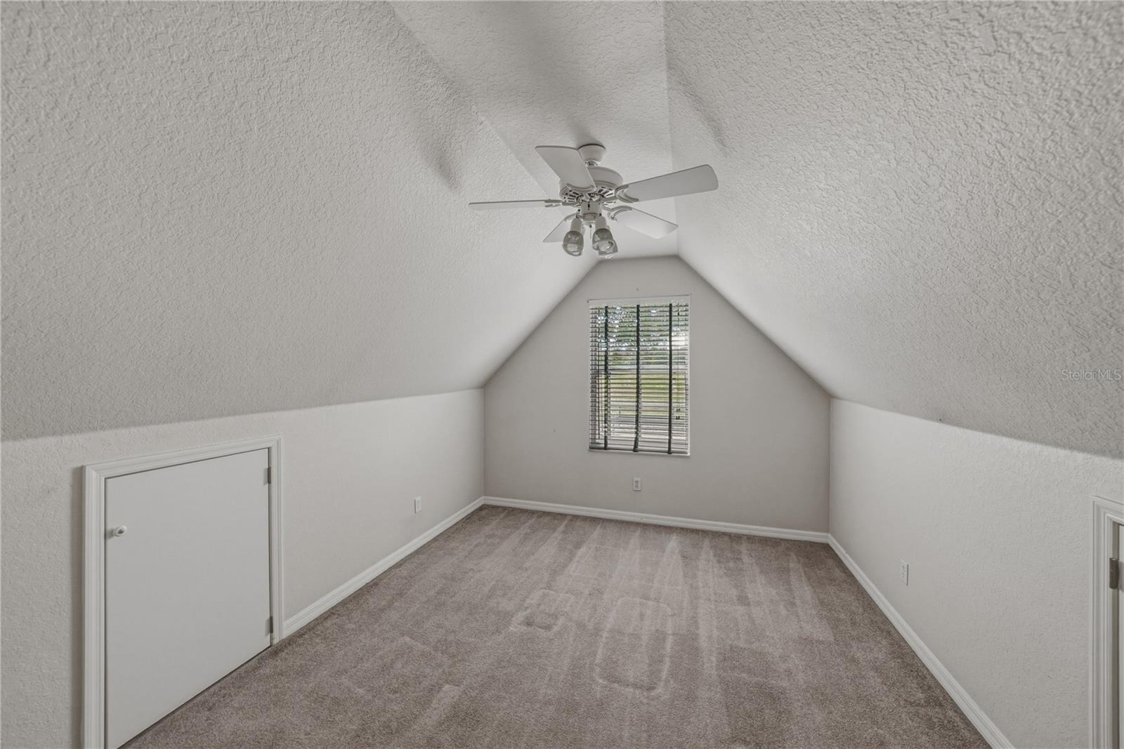 29001 BAYHEAD RD, DADE CITY, FL — photo 50