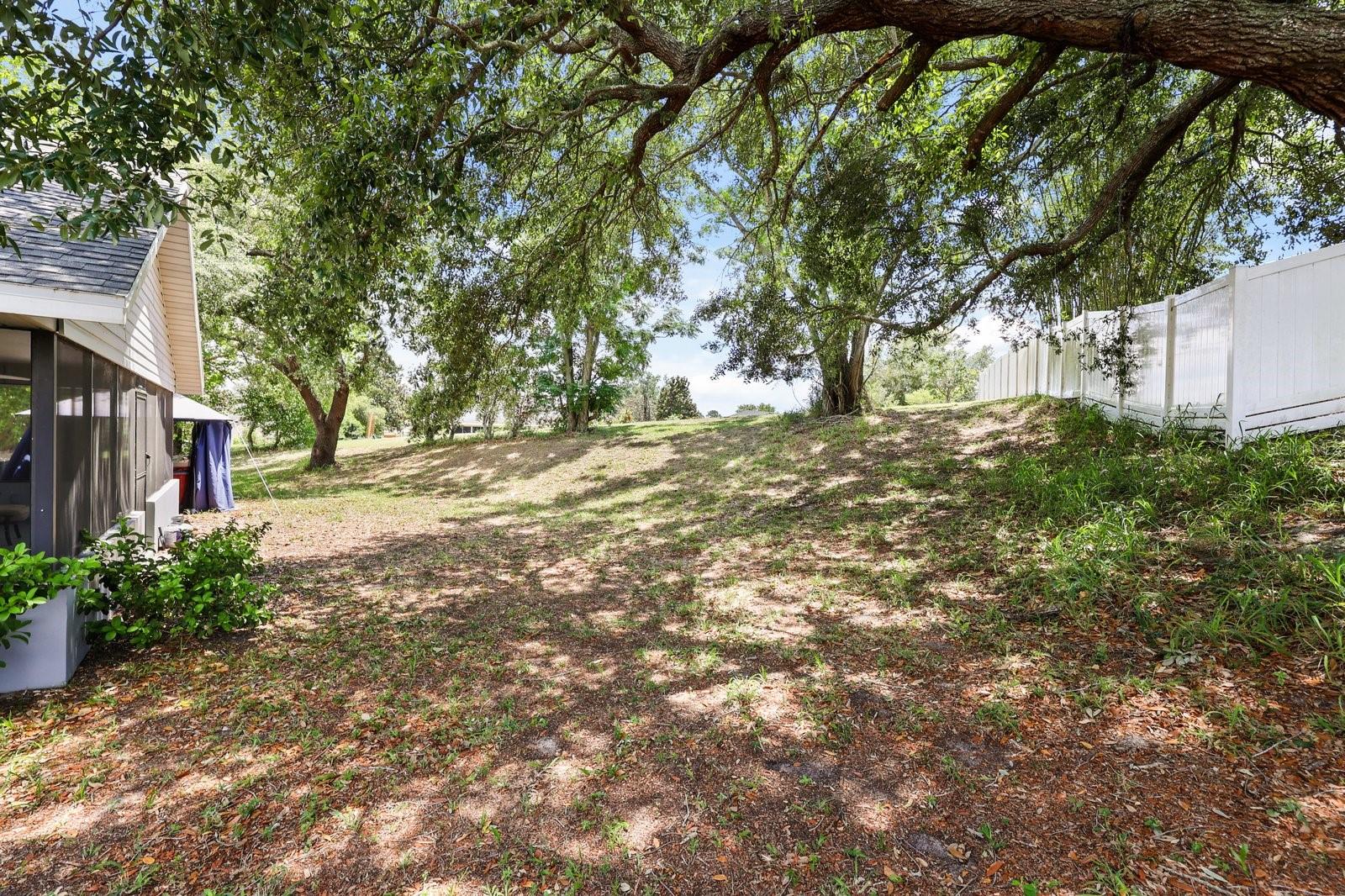 37153 COUNTY ROAD 452, GRAND ISLAND, FL — photo 70