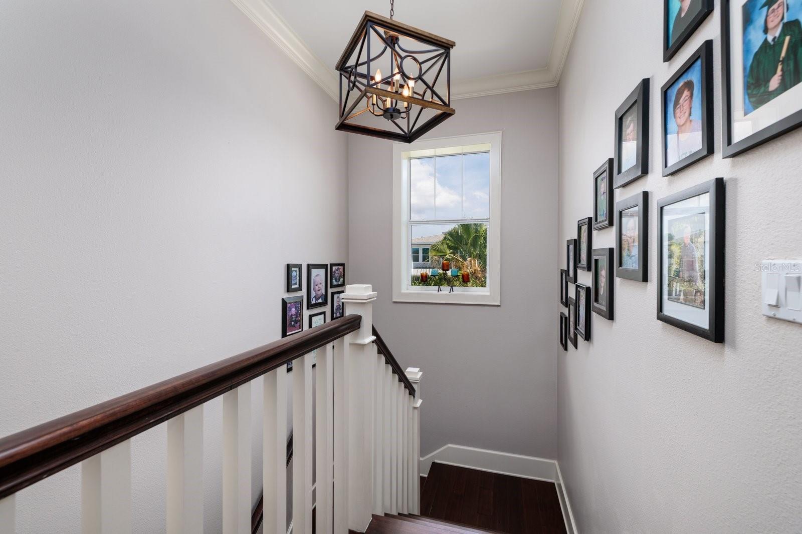 852 CORDOVA BLVD NE, ST PETERSBURG, FL — photo 23