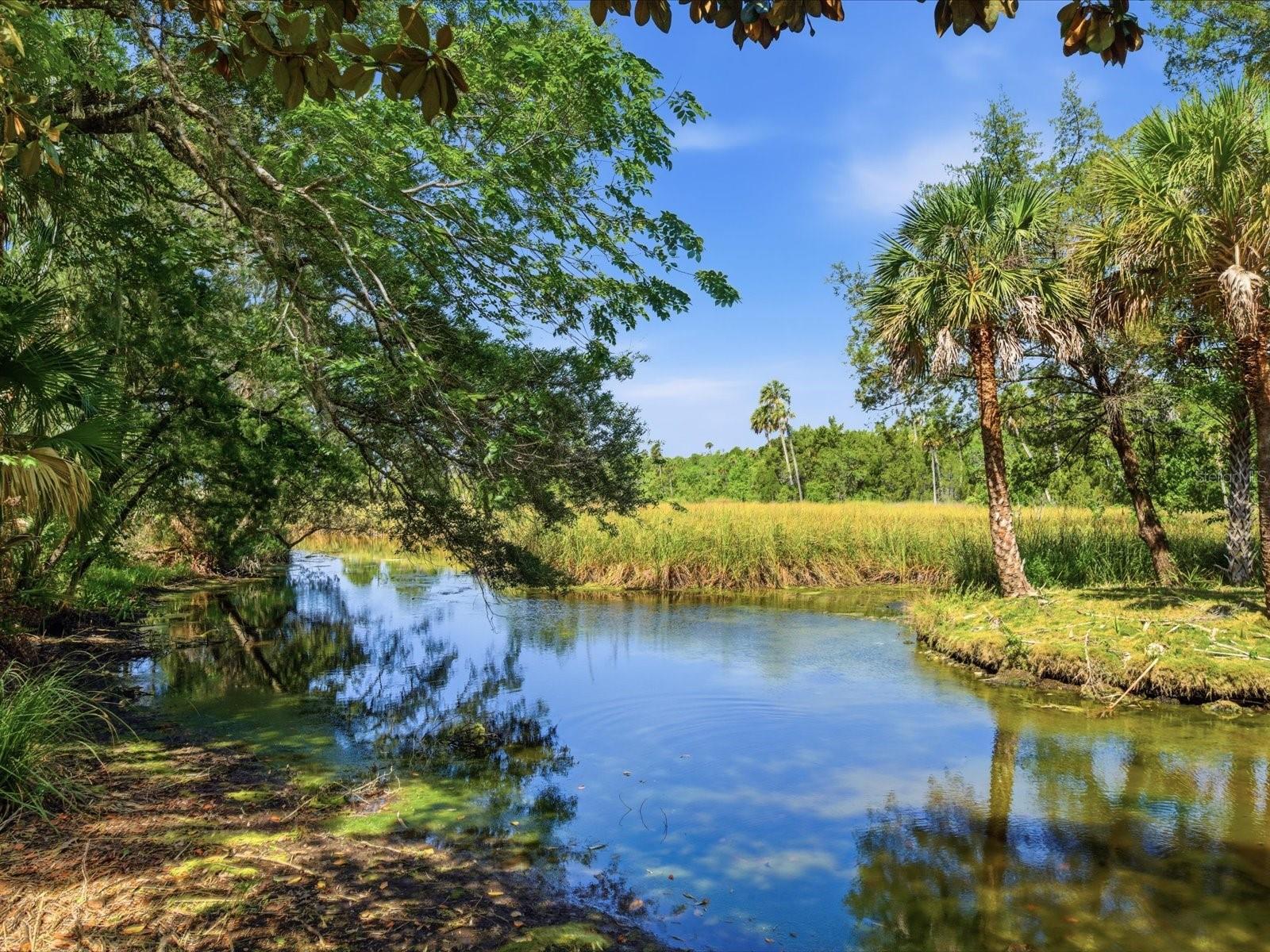 8979 W WHITE DOGWOOD DR, HOMOSASSA, FL — photo 2