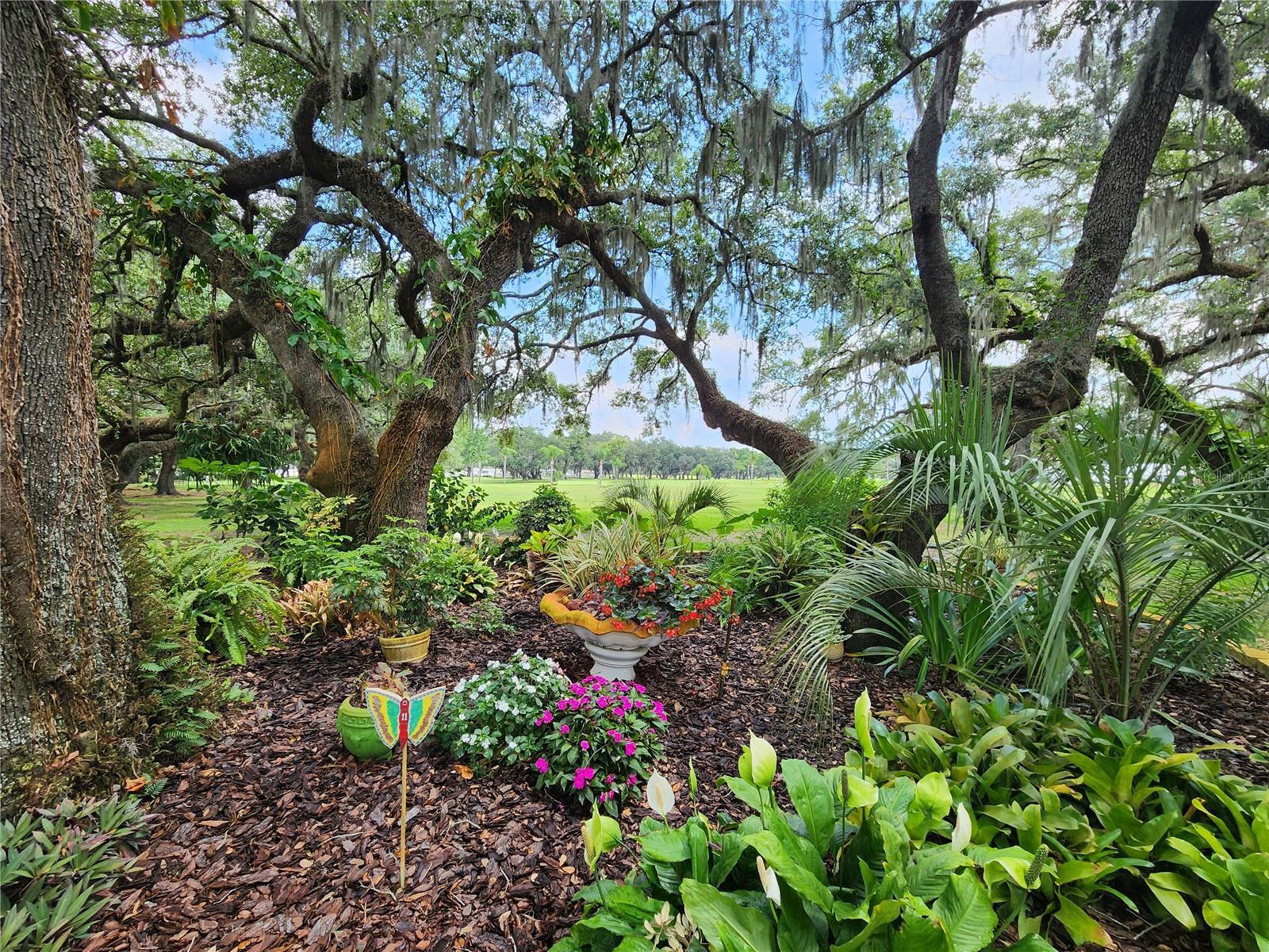 37251 LOIS AVE, ZEPHYRHILLS, FL — photo 42