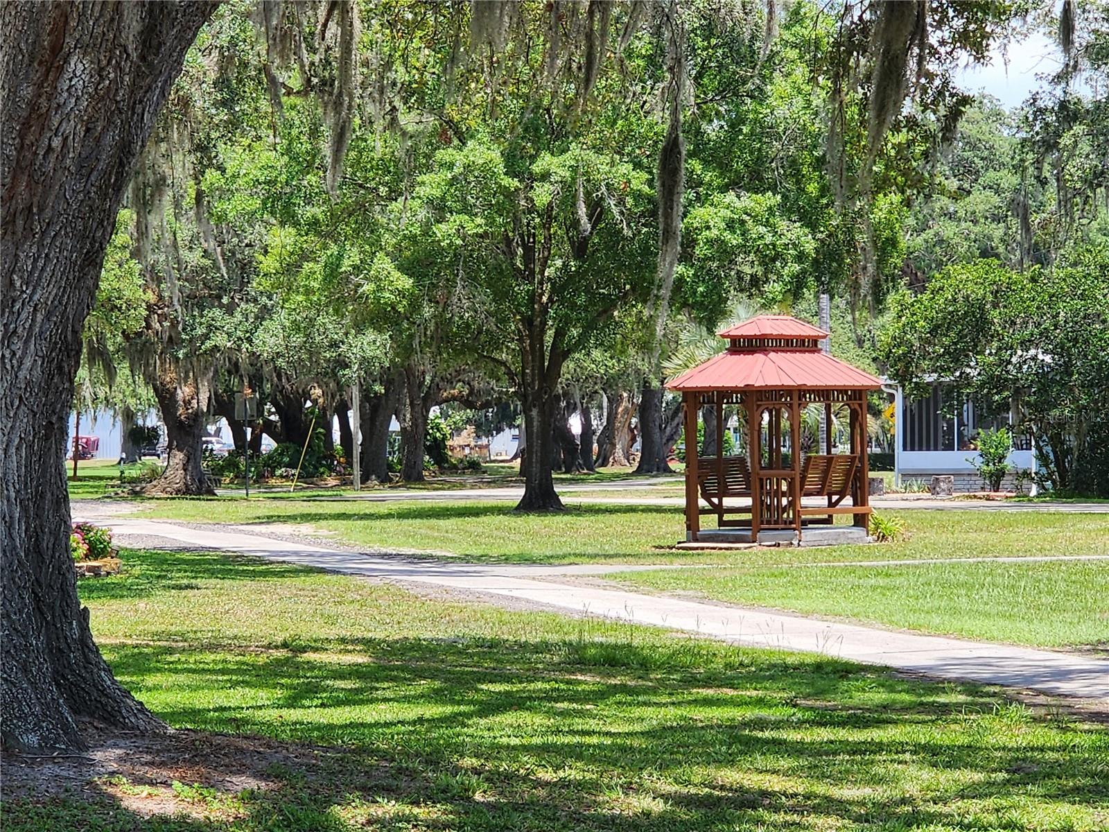 37251 LOIS AVE, ZEPHYRHILLS, FL — photo 46