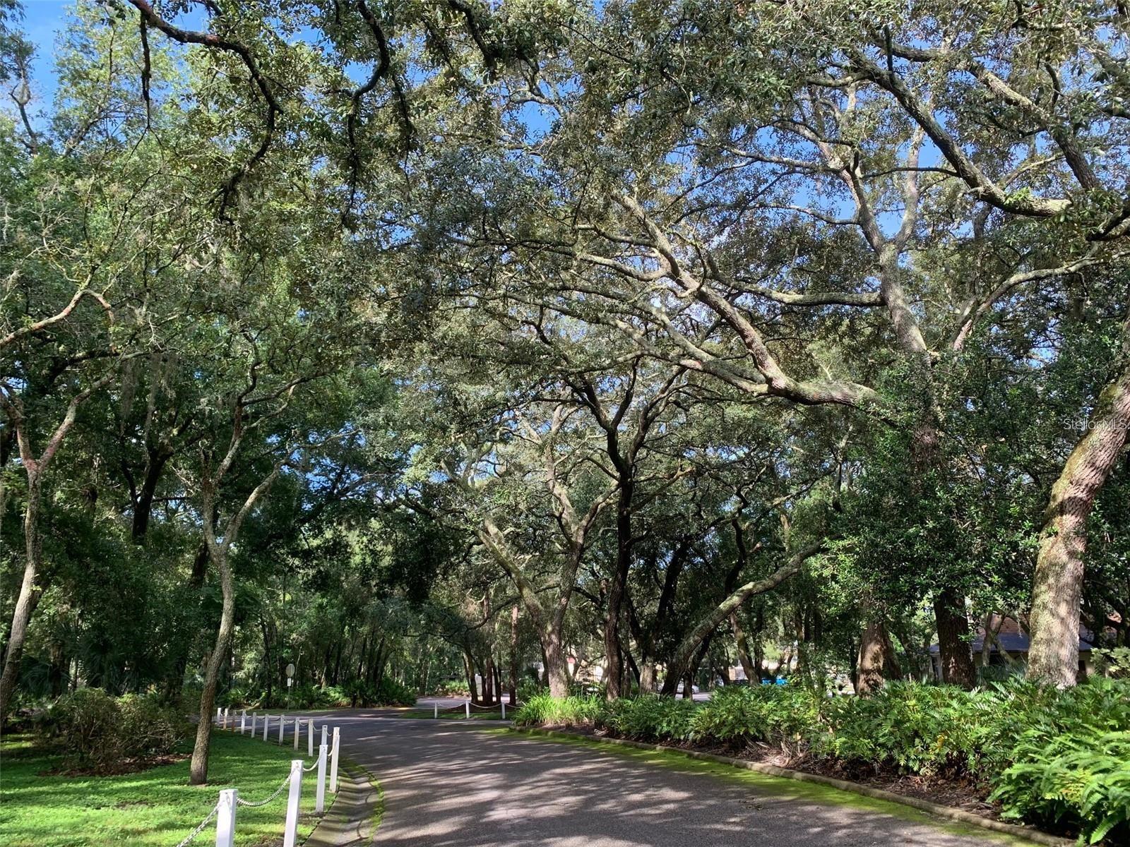 11715 RAINTREE VILLAGE BLVD #A, TEMPLE TERRACE, FL — photo 27