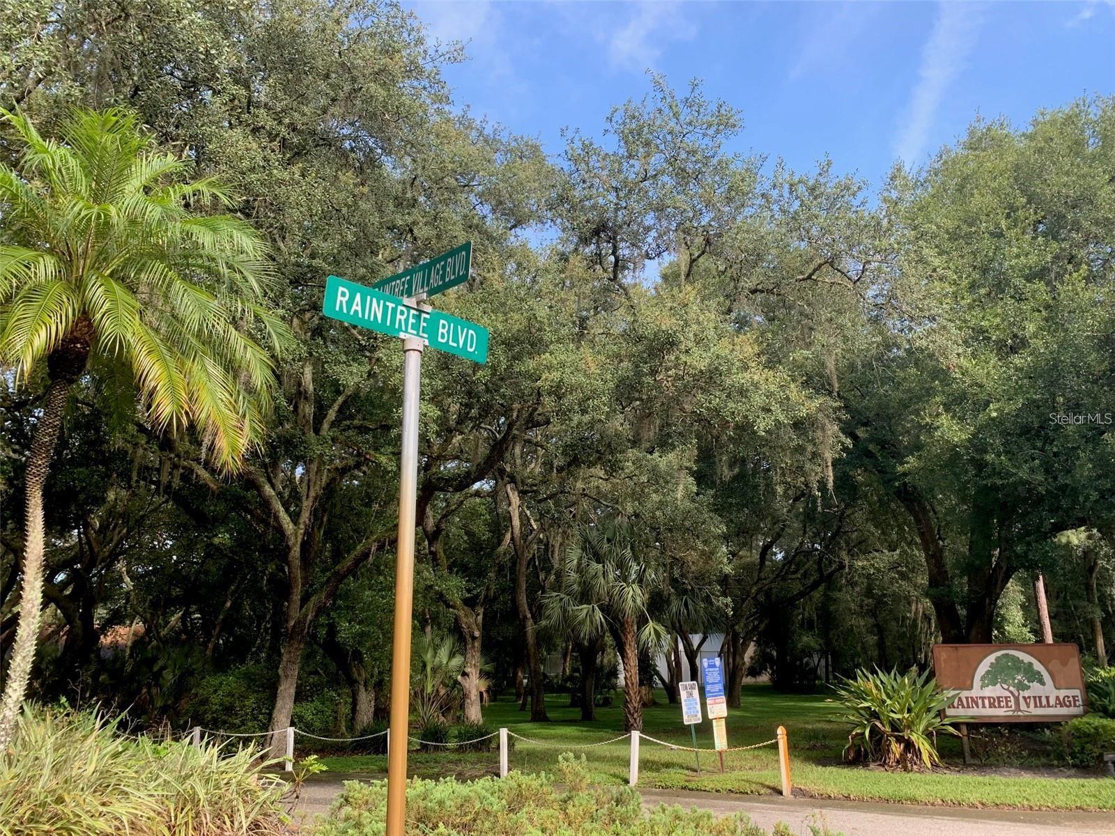 11715 RAINTREE VILLAGE BLVD #A, TEMPLE TERRACE, FL — photo 28