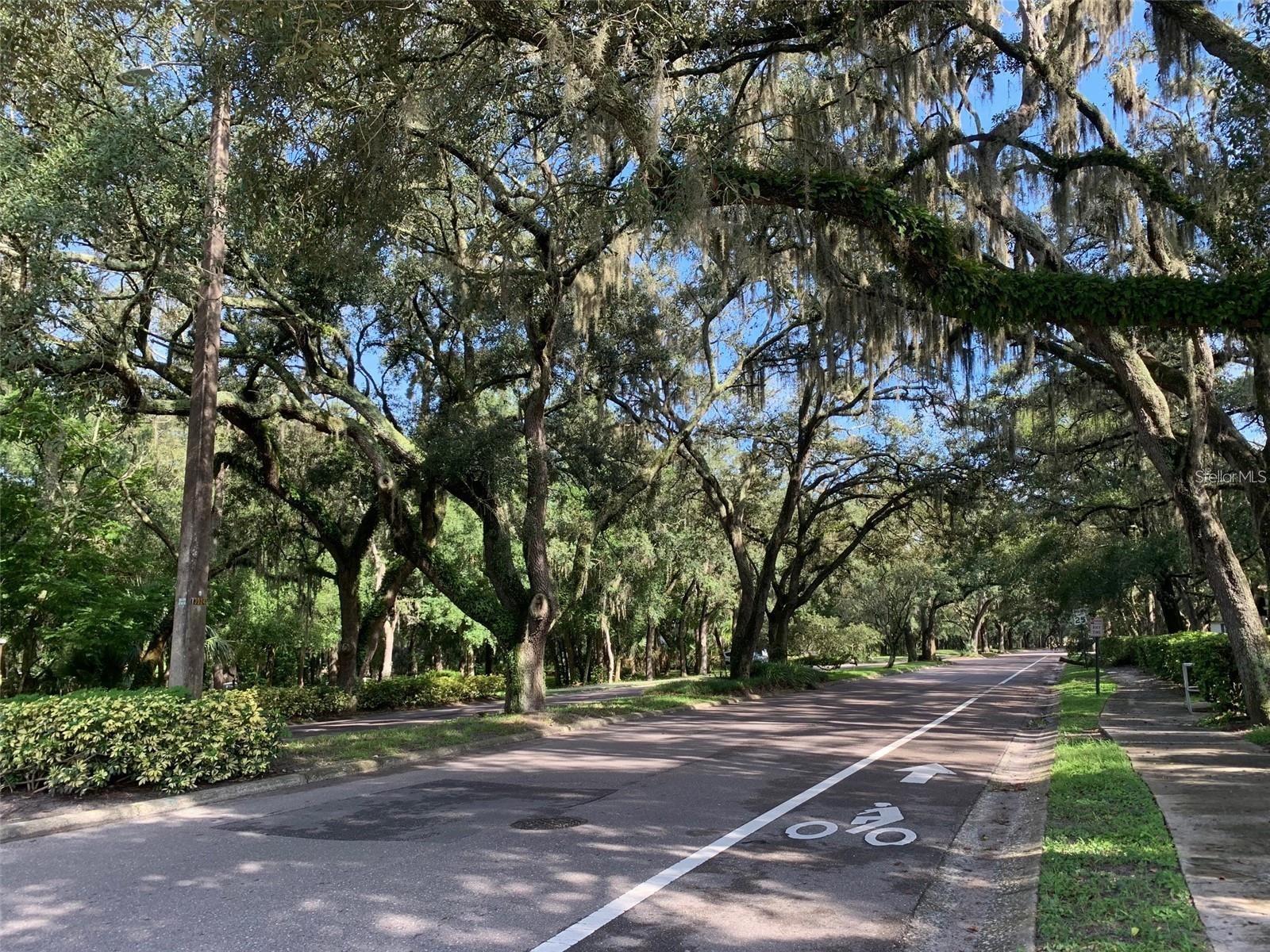 11715 RAINTREE VILLAGE BLVD #A, TEMPLE TERRACE, FL — photo 29