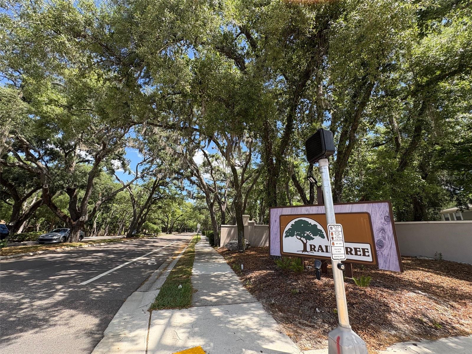 11715 RAINTREE VILLAGE BLVD #A, TEMPLE TERRACE, FL — photo 30