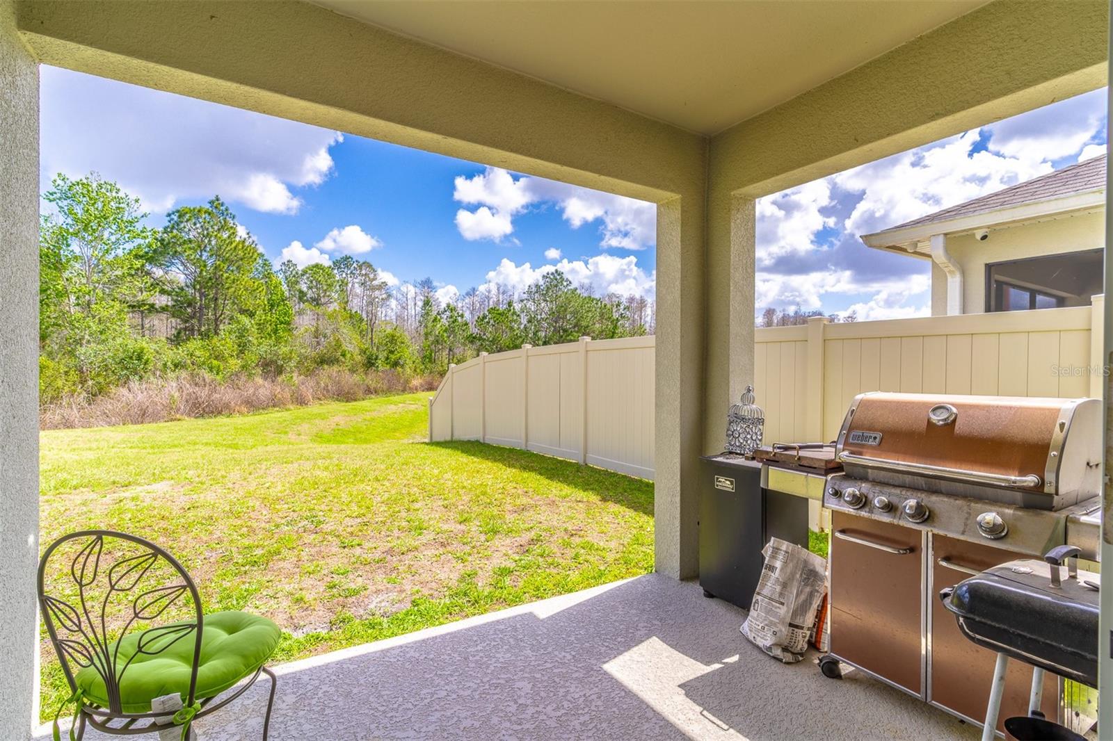 1419 FOX SQUIRREL DR, DAVENPORT, FL — photo 18