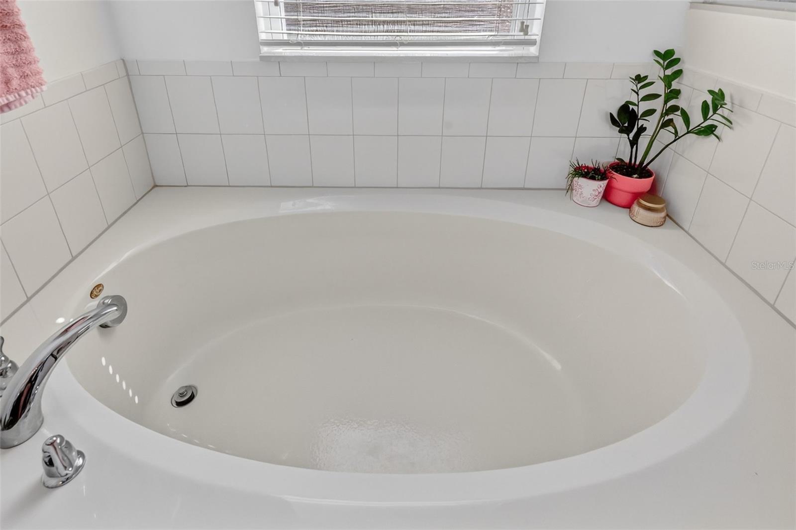 34040 ALAMEDA DR, SORRENTO, FL — photo 54