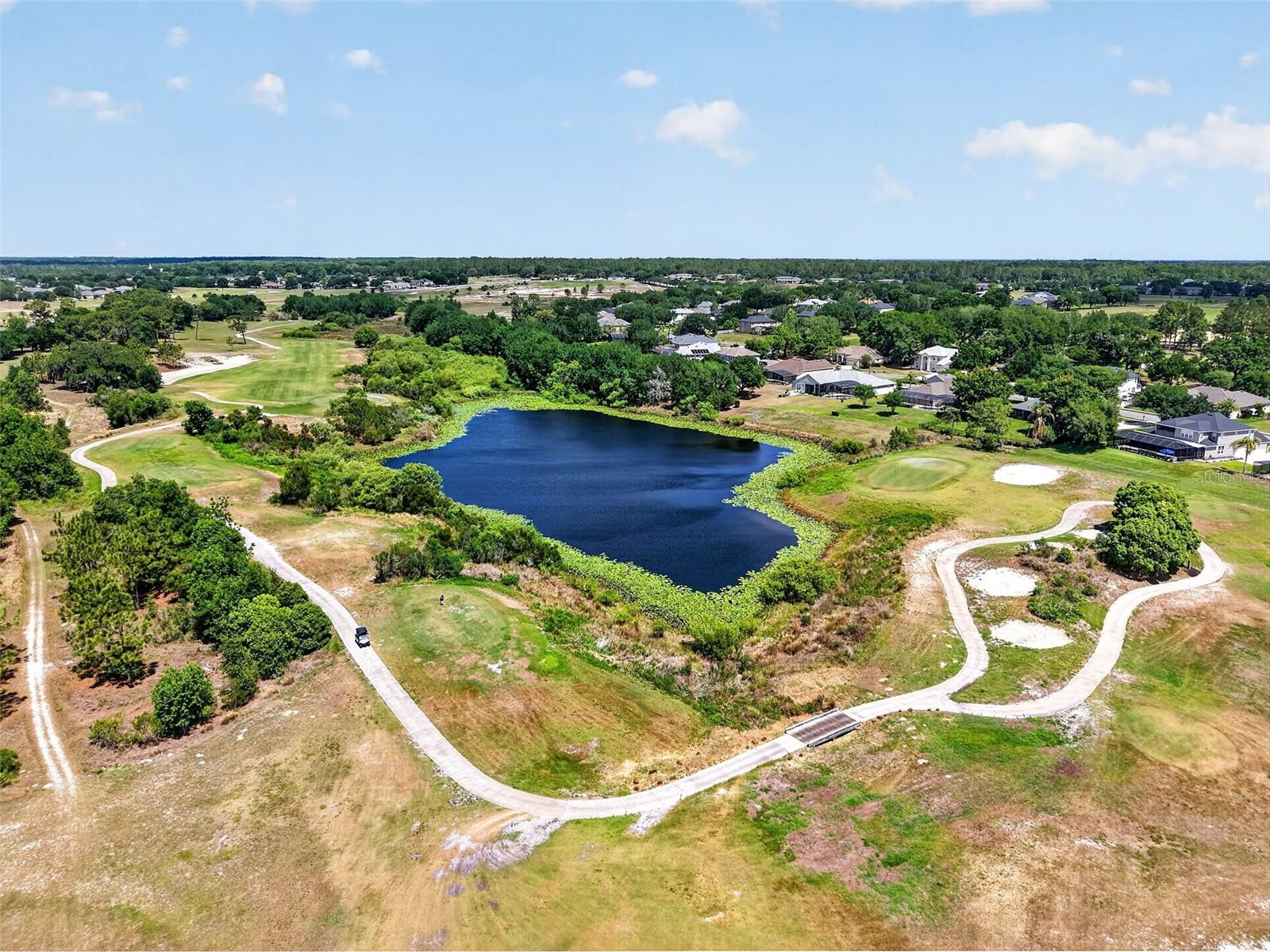 34040 ALAMEDA DR, SORRENTO, FL — photo 94
