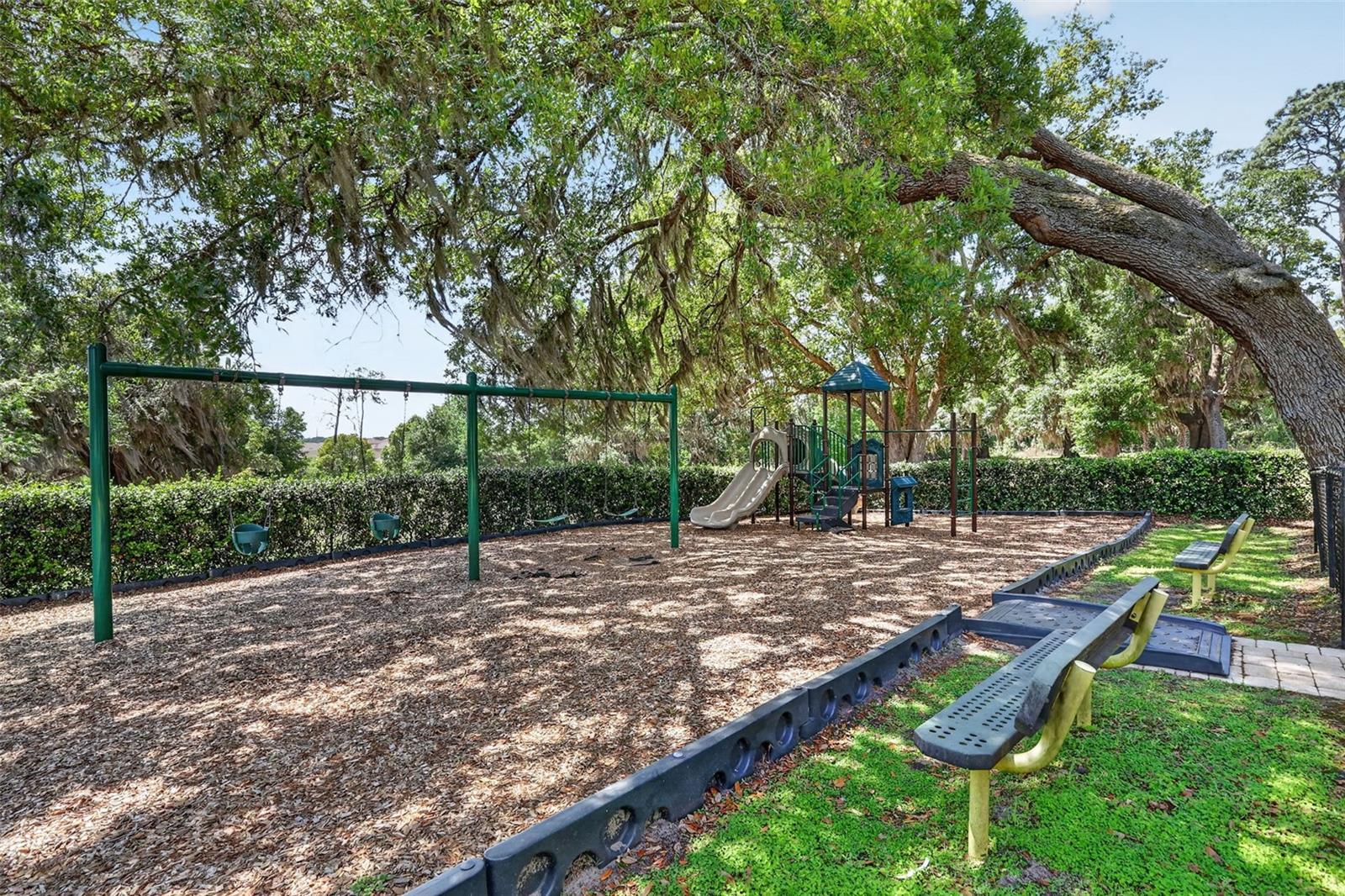 34040 ALAMEDA DR, SORRENTO, FL — photo 114