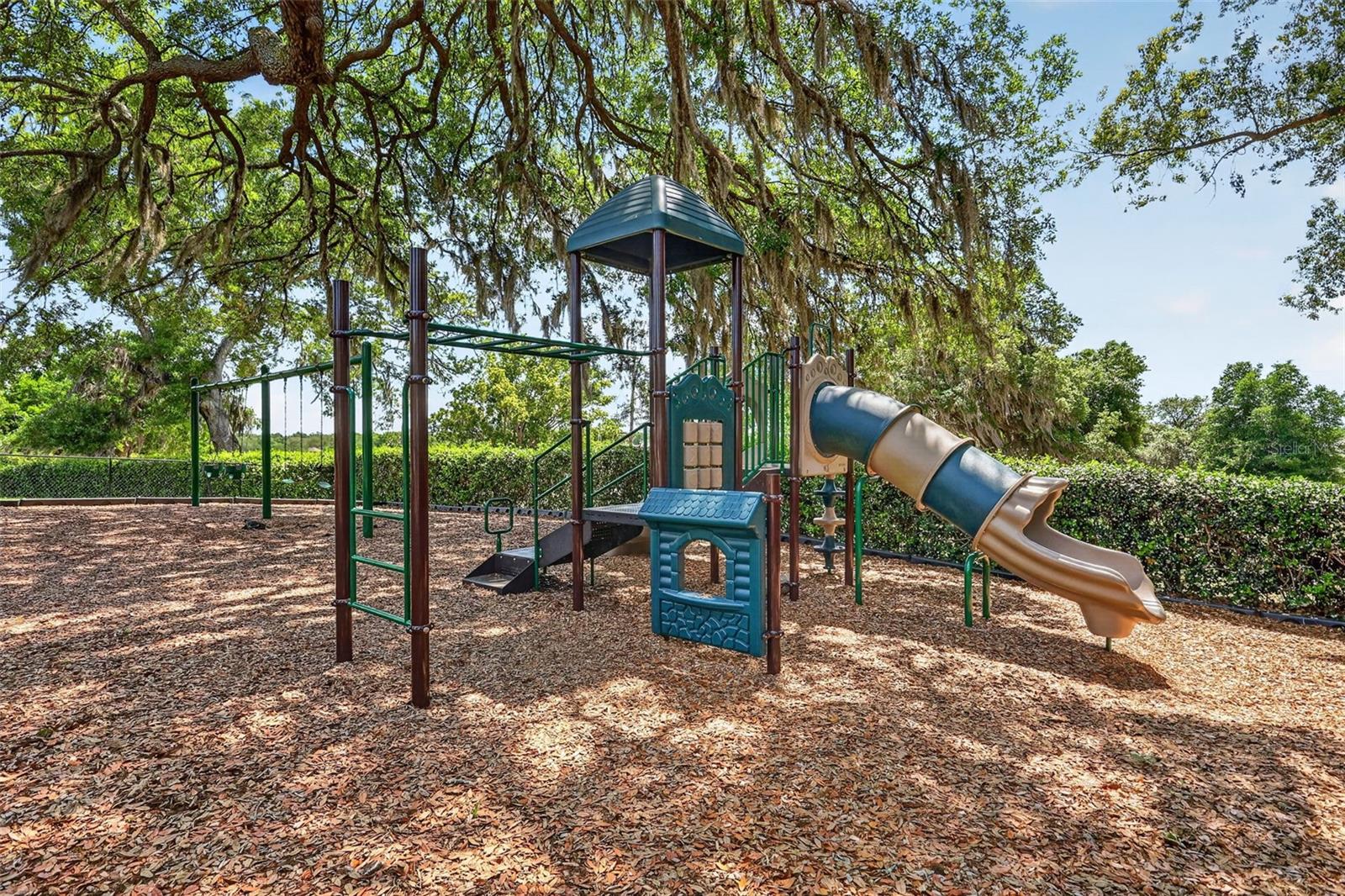 34040 ALAMEDA DR, SORRENTO, FL — photo 116