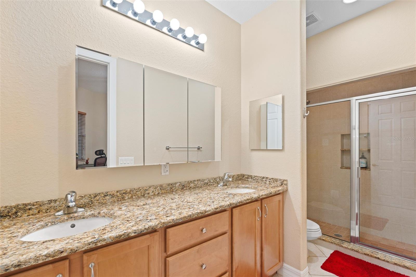 6100 JESSIE HARBOR DR #202, OSPREY, FL — photo 63