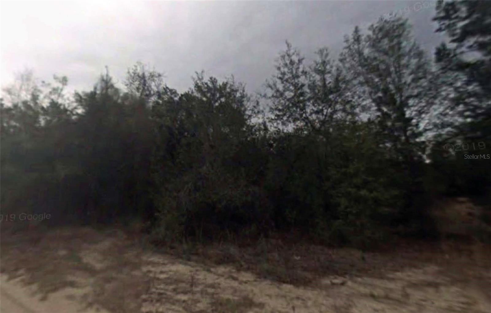 702 LONGWOOD AVE, INVERNESS, FL