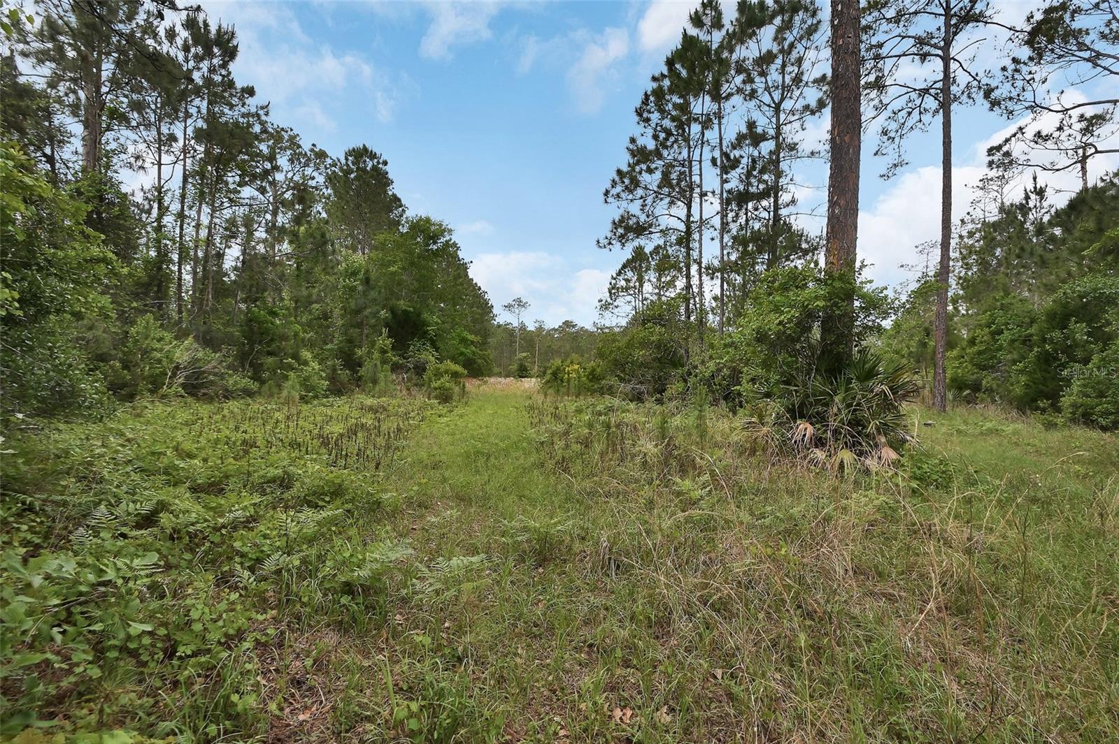 0 W SR 40 HWY, ORMOND BEACH, FL — photo 9