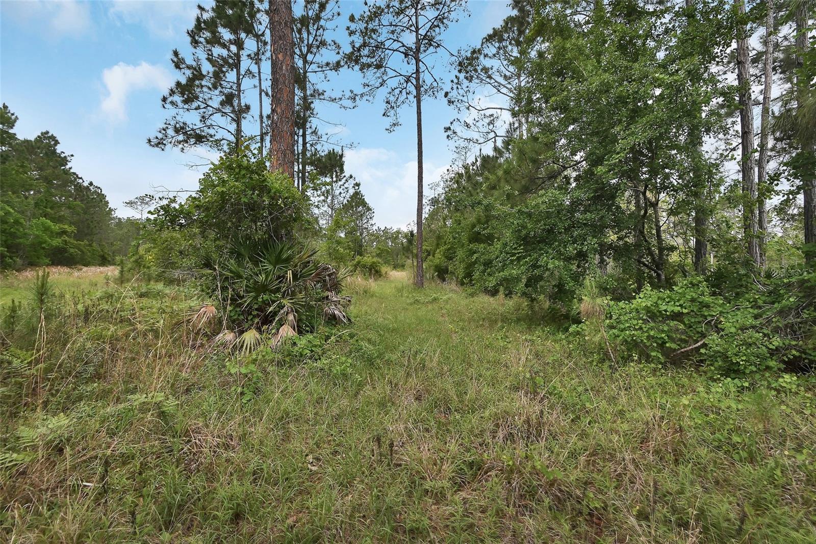 0 W SR 40 HWY, ORMOND BEACH, FL — photo 10