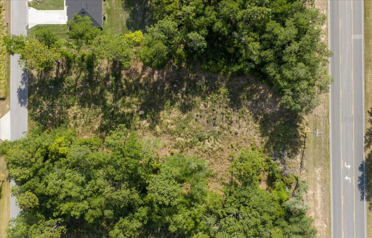 BAHIA TERRACE DR, OCALA, FL — photo 5