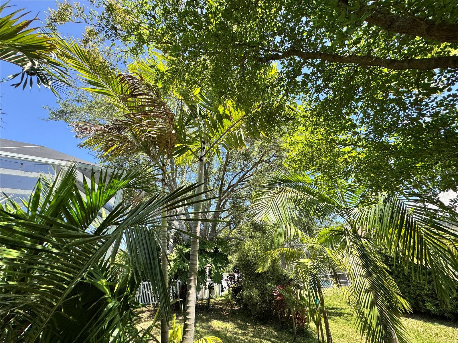 6207 TUPELO TRL, LAKEWOOD RANCH, FL — photo 21
