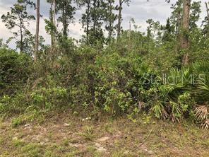 19619 NW 242ND ST, OKEECHOBEE, FL