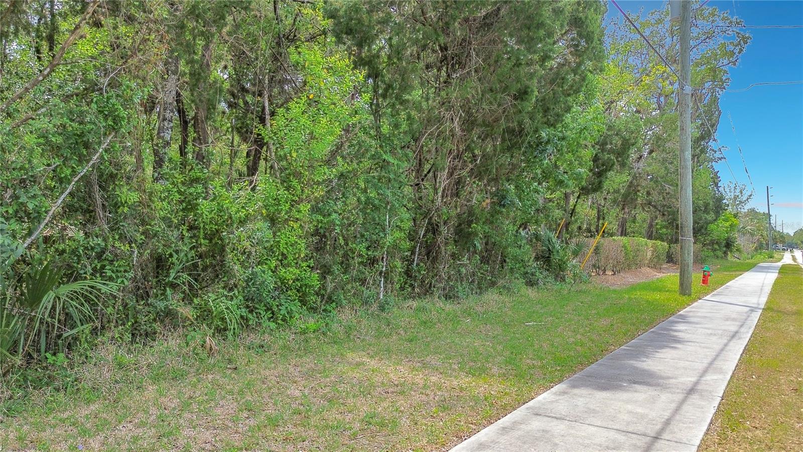 1670 NW 19TH ST, CRYSTAL RIVER, FL — photo 8