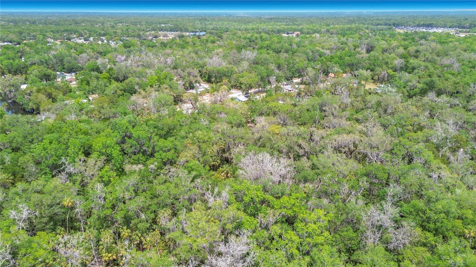 1670 NW 19TH ST, CRYSTAL RIVER, FL — photo 9
