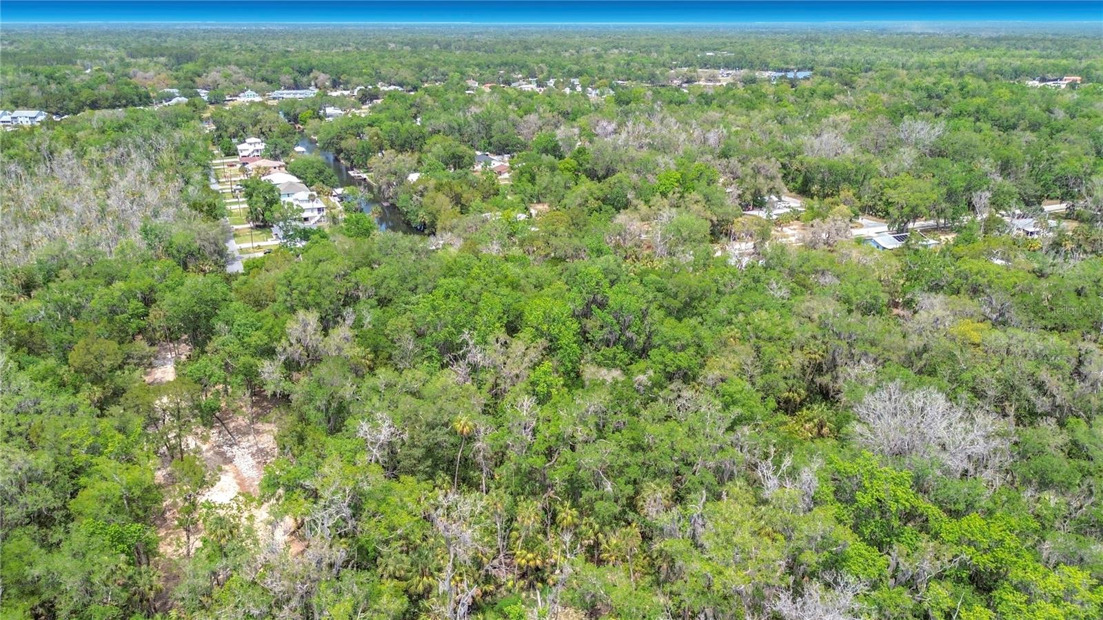 1670 NW 19TH ST, CRYSTAL RIVER, FL — photo 10