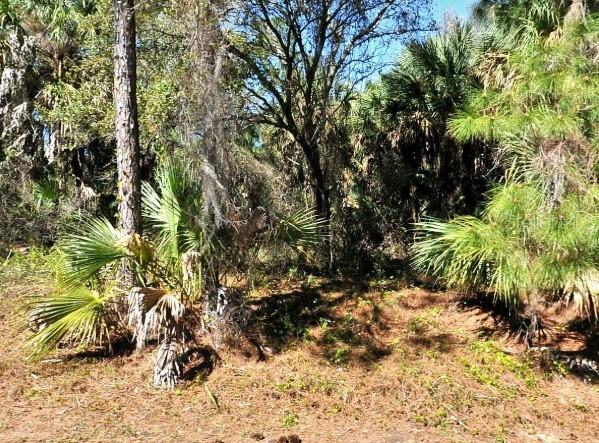 LOT 20 BLK 1749 34TH ADD TO PORT CHARLOTTE, NORTH PORT, FL — photo 2