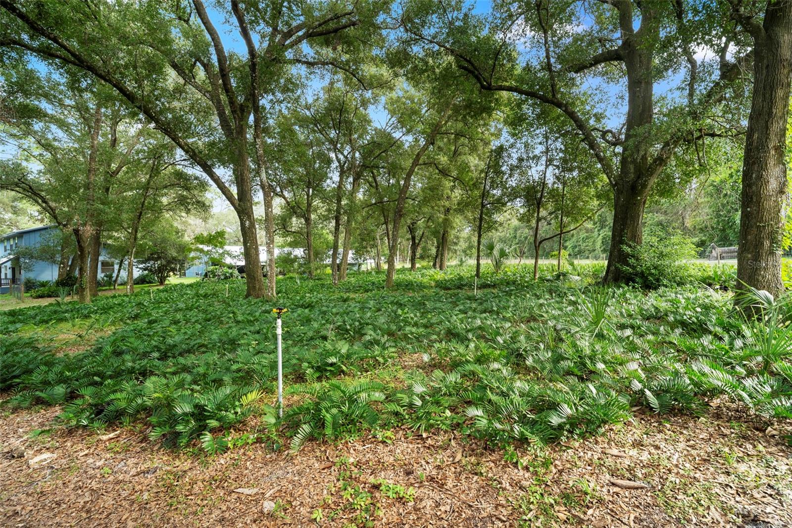 1268 MCGREGOR RD, DELAND, FL — photo 39