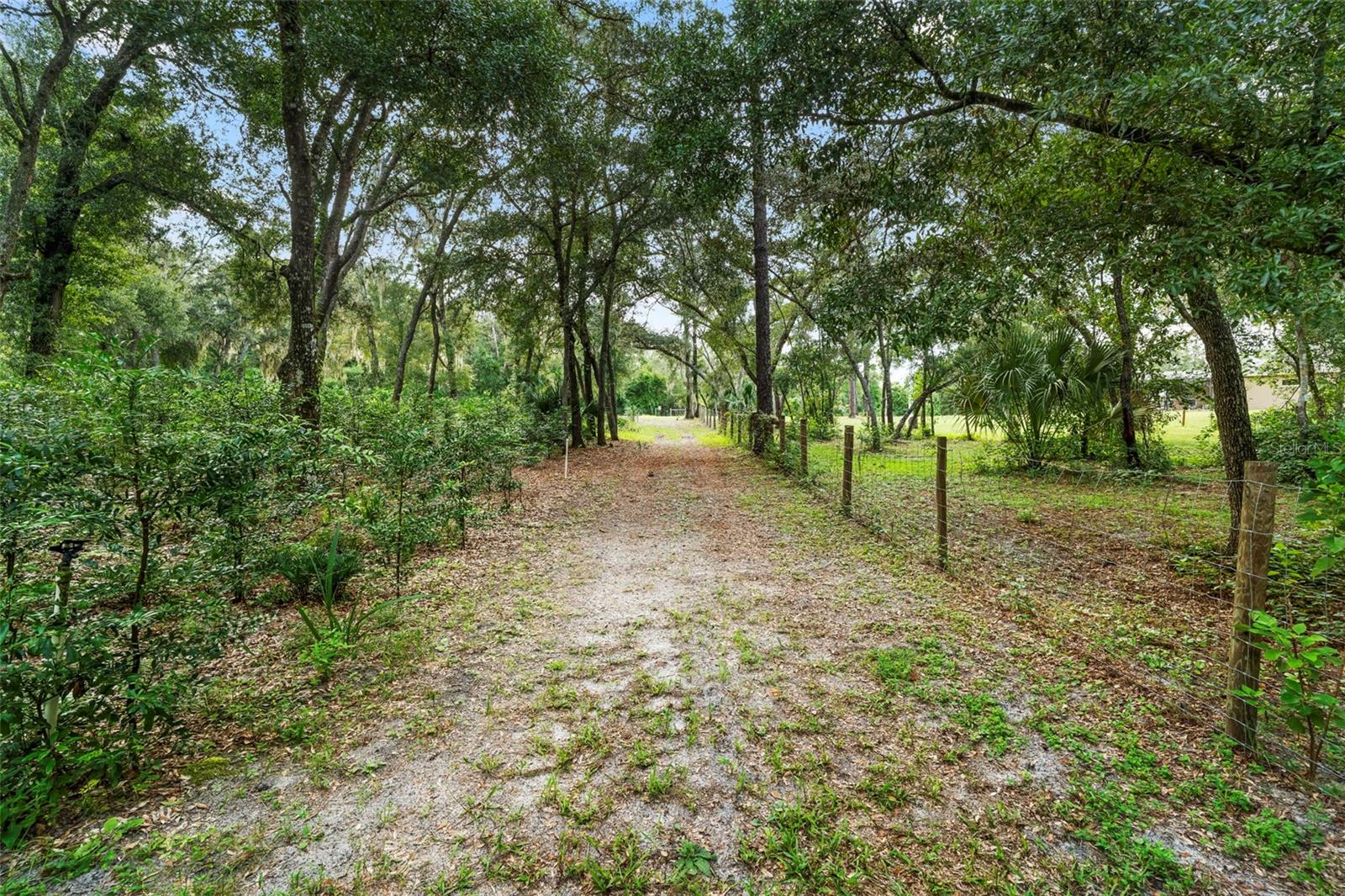 1268 MCGREGOR RD, DELAND, FL — photo 40