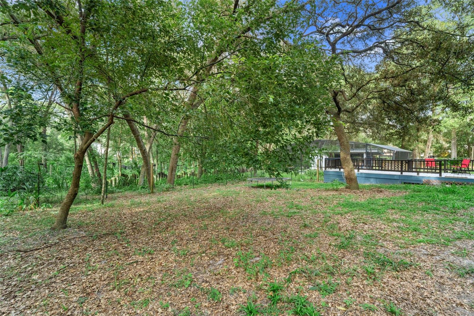 1268 MCGREGOR RD, DELAND, FL — photo 41