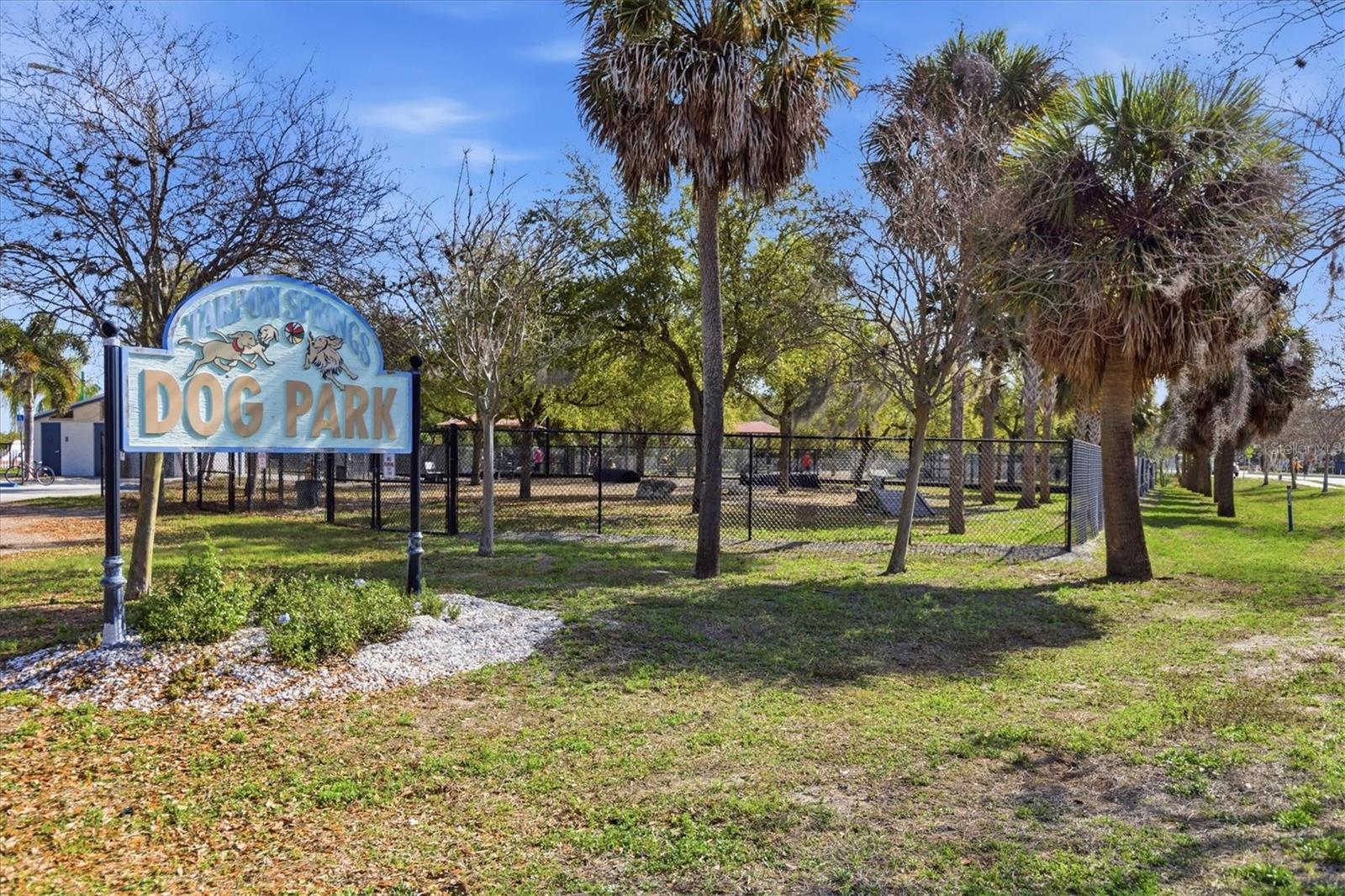 721 BAYSHORE DR, TARPON SPRINGS, FL — photo 52